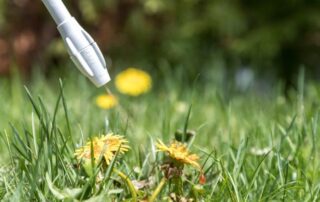 Weed spraying services by Leave It To Luke Melbourne